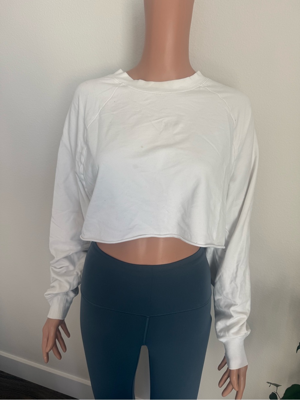 ALO Yoga White Cropped Long-Sleeve Crewneck Top